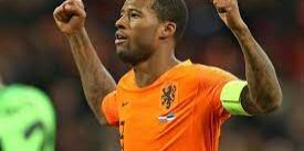 Georginio Wijnaldum - Belanda