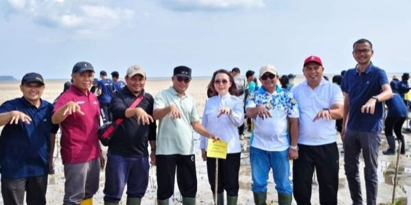 Peringatan Hari Mangrove Sedunia 2026 di Pantai Batu Bedil, Belitung, mempertemukan pemerintah, masyarakat dan berbagai pemangku kepentingan dalam menjaga ekosistem pesisir