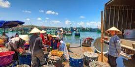 Hasil Laut Vietnam
