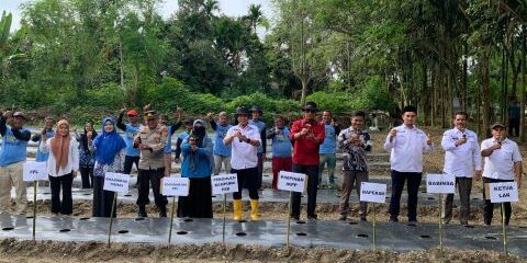 Program hortikultura untuk meningkatkan pendapatan dan kesejahteraan para petani.

