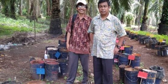 Alridiwirsah, (kanan) di kebun sawit dalam mengoptimalisasi lahan sawit

