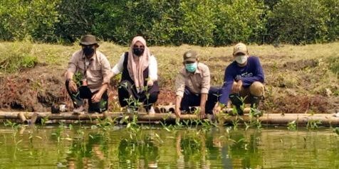 Penanam bibit mangrove di pesisir utara Tangerang

