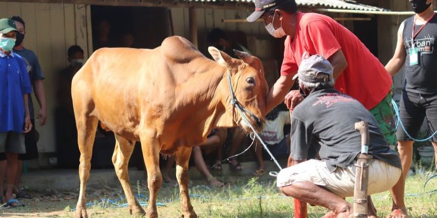 Iduladha, hari raya qurban