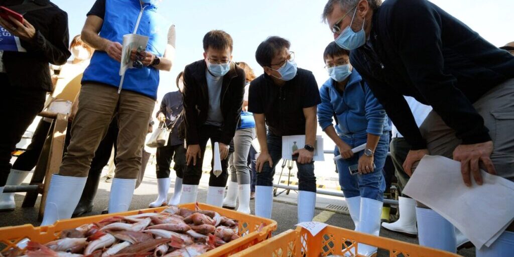 Ikan Fukushima di test PBB