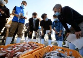 Ikan Fukushima di test PBB