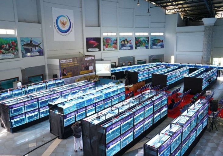 Pameran ikan hias pada acara talkshow "Strategi Pemasaran Ikan Hias Asli Indonesia, di Exhibition Hall Raiser Ikan Hias, Satker BBP3kp Cibinong 2022 silam.