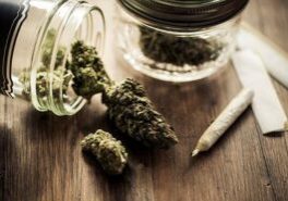 Ilustrasi Cannabis dalam kemasan