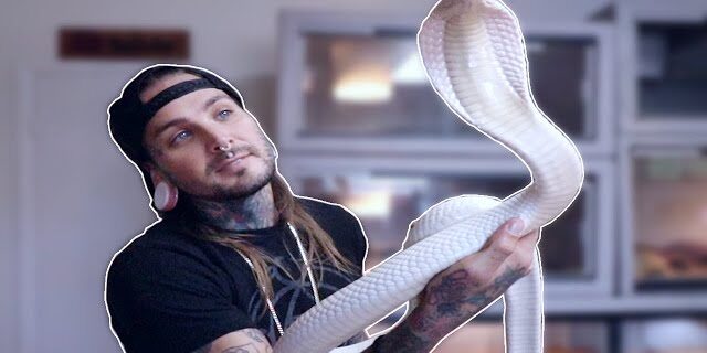 Ilustrasi Pertunjukan Pawang Ular