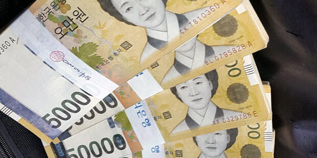 Ilustrasi Won Korea