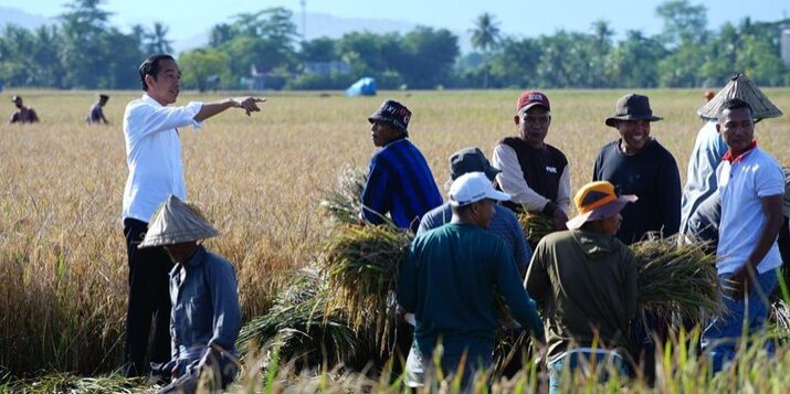 Foto: Presiden Joko Widodo (Jokowi) meninjau jalannya panen raya padi di Kelurahan Baji Pamai, Kecamatan Maros Kota, Kabupaten Maros, Sulawesi Selatan