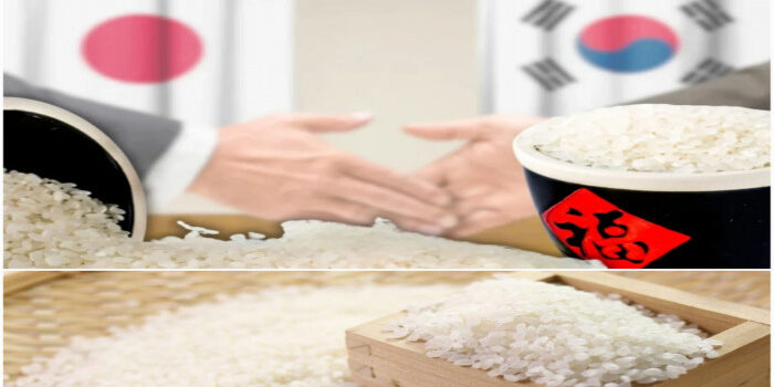 Jepang kekurangan beras,Korsel surpus