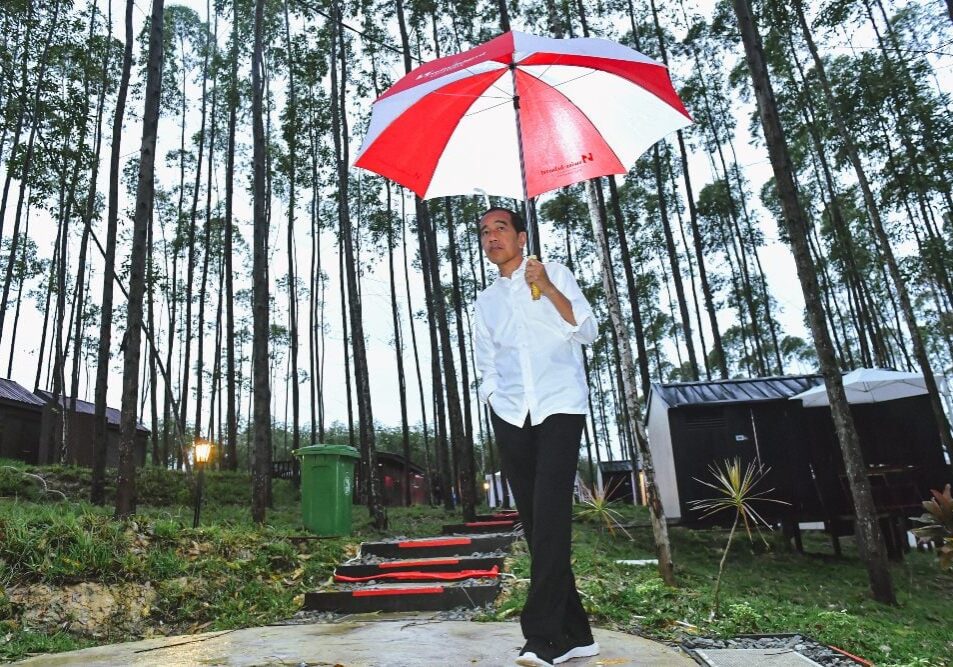 Presiden Joko Widodo menikmati suasana pagi Ibu Kota Nusantara (IKN) di Kalimantan Timur, Jumat (24/2/2022).

