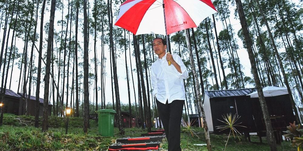 Presiden Joko Widodo menikmati suasana pagi Ibu Kota Nusantara (IKN) di Kalimantan Timur, Jumat (24/2/2022).

