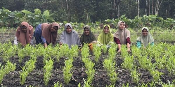 Perempuan Dusun Pinang berdaya lewat kegiatan bertani dan berkebun bersama KWT Pinang Lestari