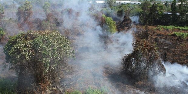 'Kabut asap tidak bisa menjadi hal yang biasa'