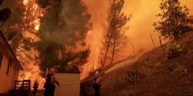 Kebakaran Hutan Meluas di Los Angeles