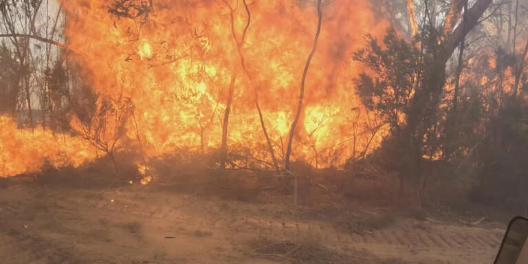 Kebakaran Hutan di Australia