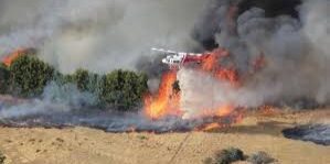 Kebakaran Hutan di Australia