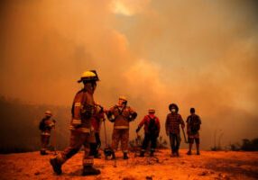 Kebakaran Hutan di Chile