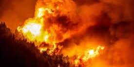 Kebakaran Hutan di Eropa Meluas