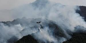 Kebakaran Hutan di Jepang Utara