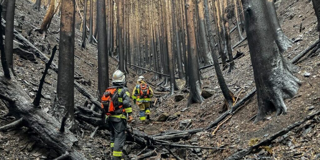 Kebakaran Hutan di Jepang berhasil dikendalikan