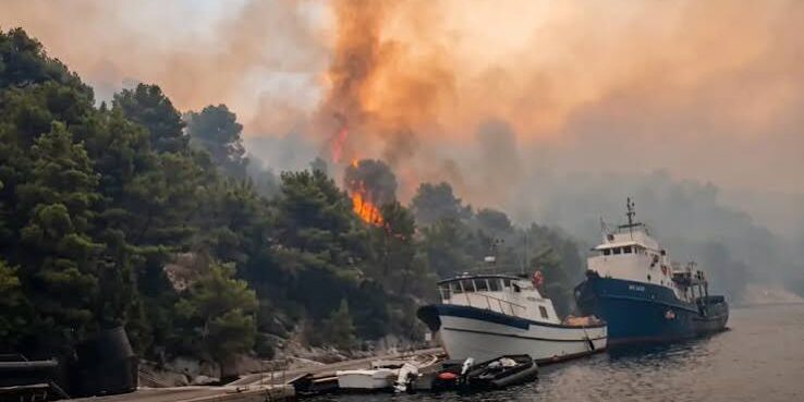 Kebakaran Hutan di Pulau Brac - Kroasia