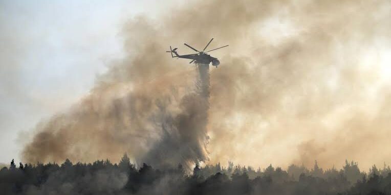 Kebakaran Hutan di Yunani Berkobar Lagi
