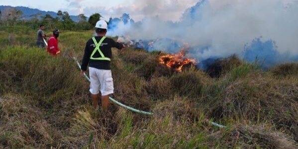 Kolaborasi PT Palmindo Billiton Berjaya, PT Forestalestari Dwikarya, dan pemangku kepentingan dalam memadamkan kebakaran lahan di Membalong. (Foto: dok Smart)

