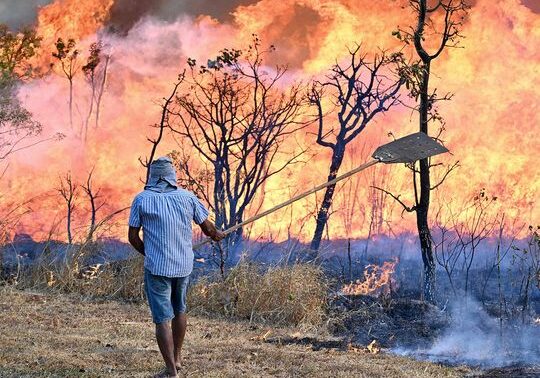 Kebakaran hutan di Brazil