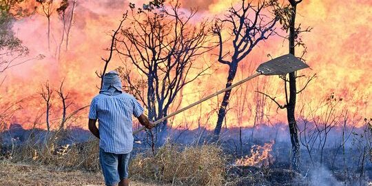 Kebakaran hutan di Brazil