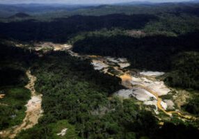 Kontaminasi Merkuri Pada Yanomami Di Brasil