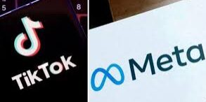 Meta dan TikTok