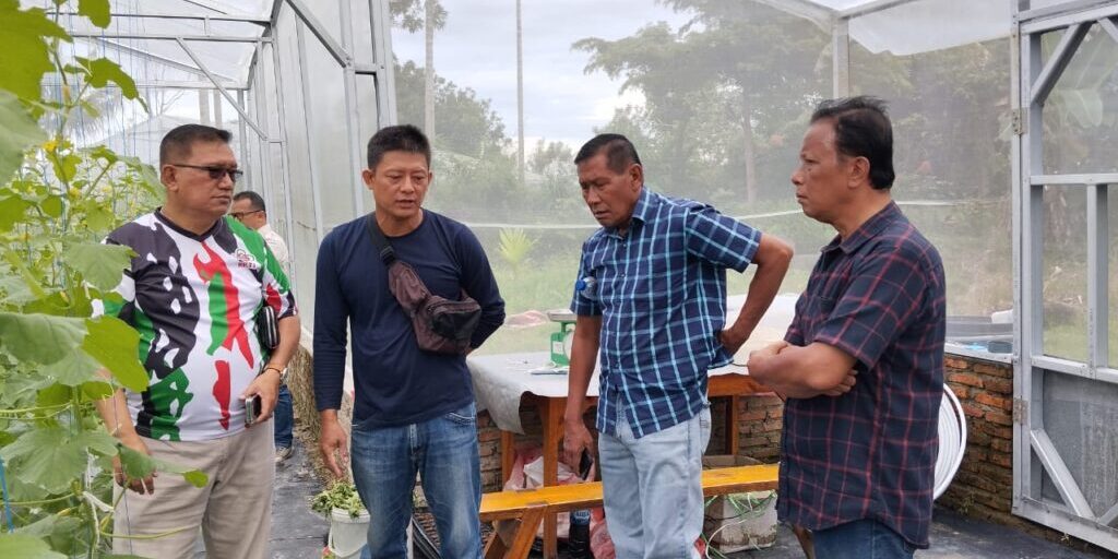Meninjau rumah kaca penanaman melon