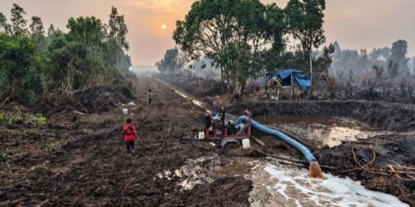 PT RHM melakukan pembasahan lahan gambut untuk mencegah karhutla. (Foto: dok PT RHM)



