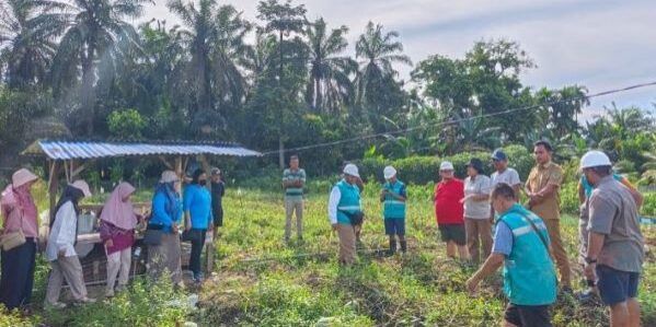 Demplot semangka, petani mengamati langsung manfaat pemanfaatan vermikompos terhadap pertumbuhan tanaman dan kondisi tanah. (Foto: Humas Smart)