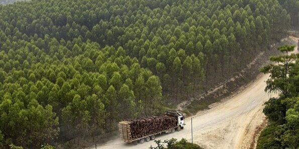 Asia Pulp and Paper (APP) Indah Kiat Perawang, Riau (Foto: Dok INKP)

