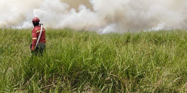 Rimba Hutani Mas turut membantu penanganan kebakaran hutan dan lahan di Musi Banyuasin, Sumatera Selatan