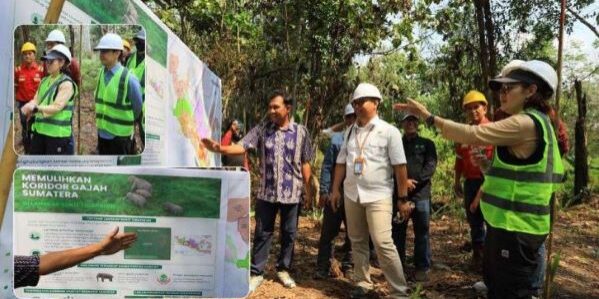 BKSDA Jambi dan PROTECT30 meninjau perkembangan kegiatan perlindungan habitat Gajah Sumatra di Lanskap Bukit Tigapuluh

