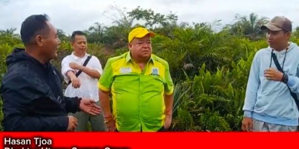 Dirut PT Serayu Group Hasan Tjoa meninjau lahan yang akan dijadikan penanaman Pohon Balsa di Kalimantan Barat