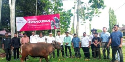 IKPP Perawang anak perusahaan Sinarmas Group salurkan hewan kurban

