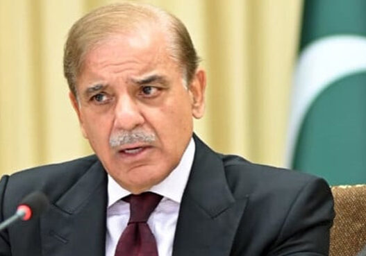 PM Shehbaz Sharif