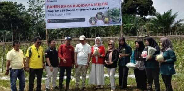 PT Kresna Duta Agroindo, Yayasan Sekolah Tani Indonesia, dan Penyuluh Pertanian Lapangan berkolaborasi mendampingi KWT Kirana Tani mengembangkan budidaya hortikultura. (Foto: Smart)
