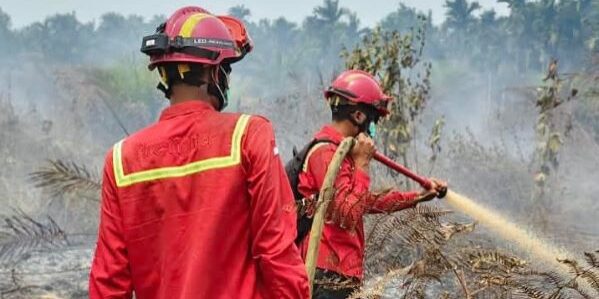 Tim regu pemadam kebakaran melakukan pemadaman dan pengendalian api di lokasi

