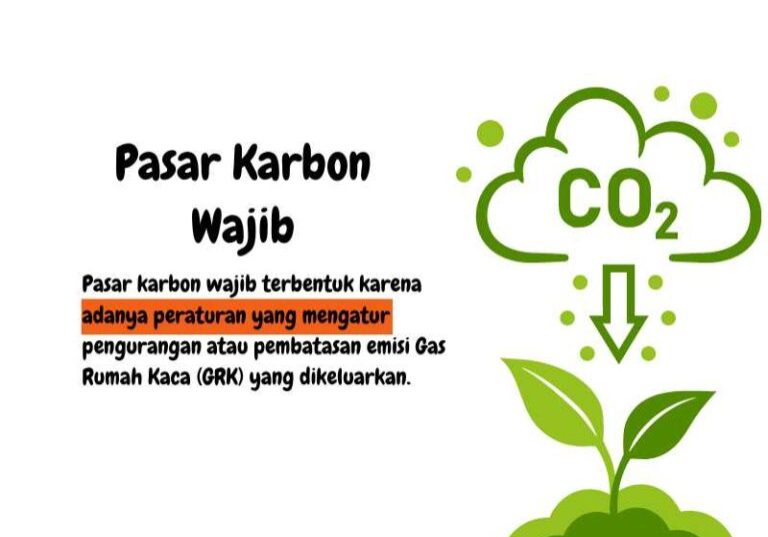 Pasar Karbon