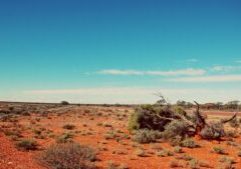 Pemandangan umum gurun di luar Desa Woomera, Adelaide