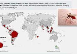 Peta di atas menunjukkan penyebaran penyakit demam berdarah pada tahun 2020 di seluruh dunia