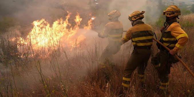 Petugas Pemadaman Kewalahan berjuang melawan kebakaran hutan
