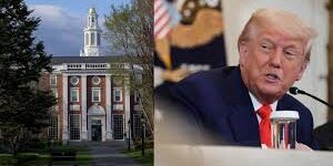 Presiden Trump dan Harvard Univrsity