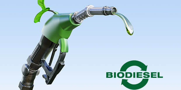 Produsen Biodiesel China Cari Market Baru